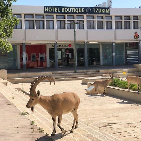 Tzukim Desert Traveler'S Hotel - מלון צוקים 米茨佩·拉蒙 外观 照片